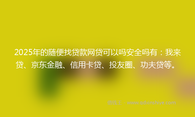 2025年的随便找贷款网贷可以吗安全吗有：我来贷、京东金融、信用卡贷、投友圈、功夫贷等。