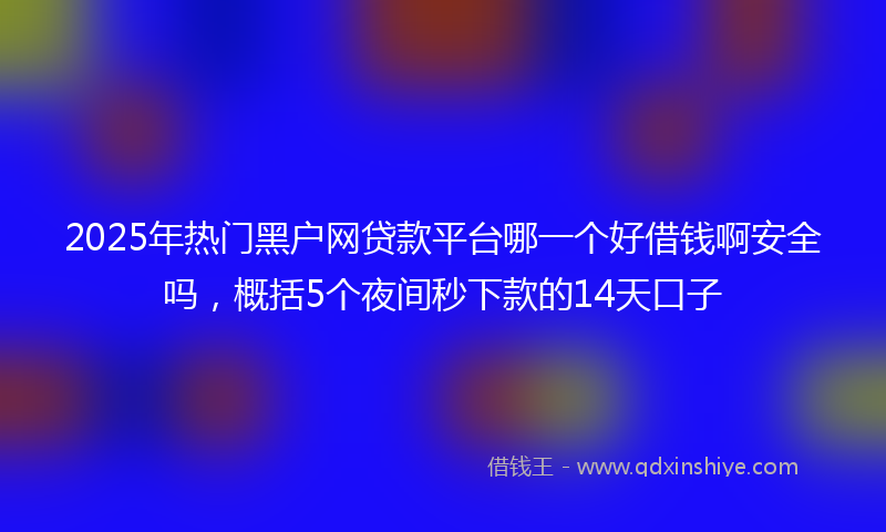 2025年热门黑户网贷款平台哪一个好借钱啊安全吗，概括5个夜间秒下款的14天口子