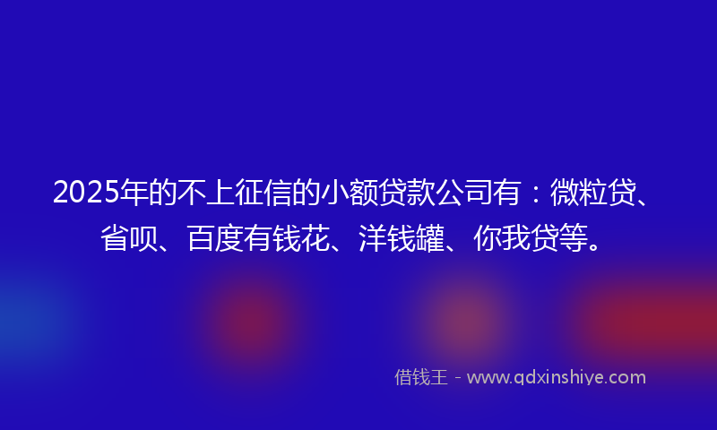 2025年的不上征信的小额贷款公司有：微粒贷、省呗、百度有钱花、洋钱罐、你我贷等。
