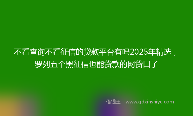 不看查询不看征信的贷款平台有吗2025年精选，罗列五个黑征信也能贷款的网贷口子