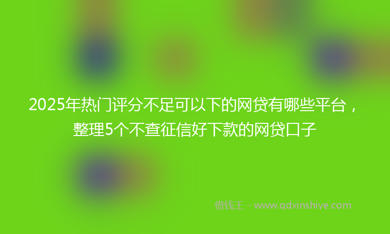2025年热门评分不足可以下的网贷有哪些平台，整理5个不查征信好下款的网贷口子