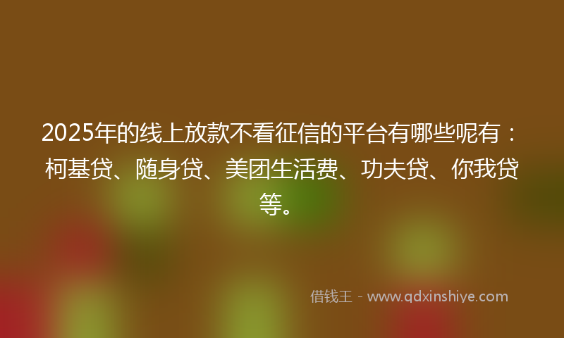 2025年的线上放款不看征信的平台有哪些呢有：柯基贷、随身贷、美团生活费、功夫贷、你我贷等。