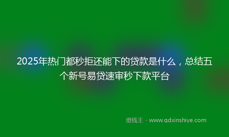 2025年热门都秒拒还能下的贷款是什么，总结五个新号易贷速审秒下款平台
