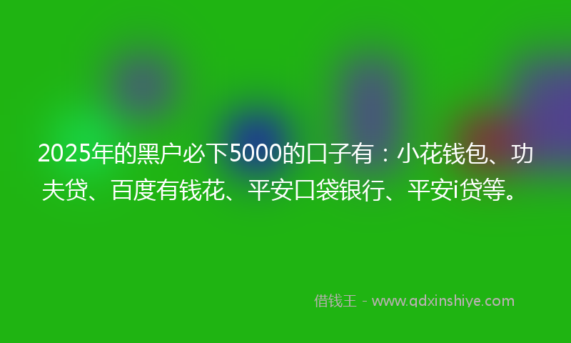 2025年的黑户必下5000的口子有：小花钱包、功夫贷、百度有钱花、平安口袋银行、平安i贷等。