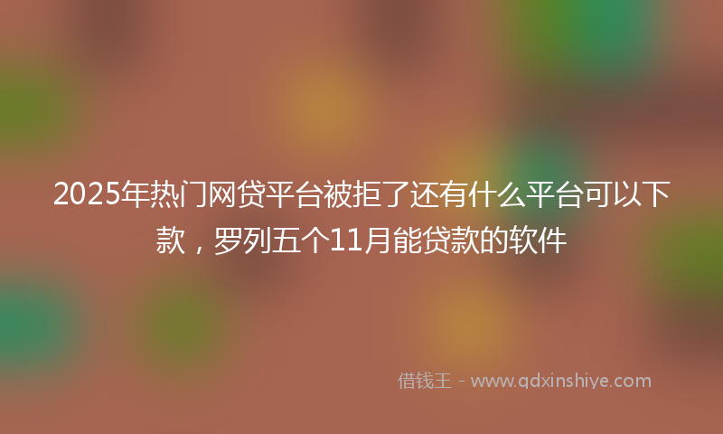 2025年热门网贷平台被拒了还有什么平台可以下款，罗列五个11月能贷款的软件
