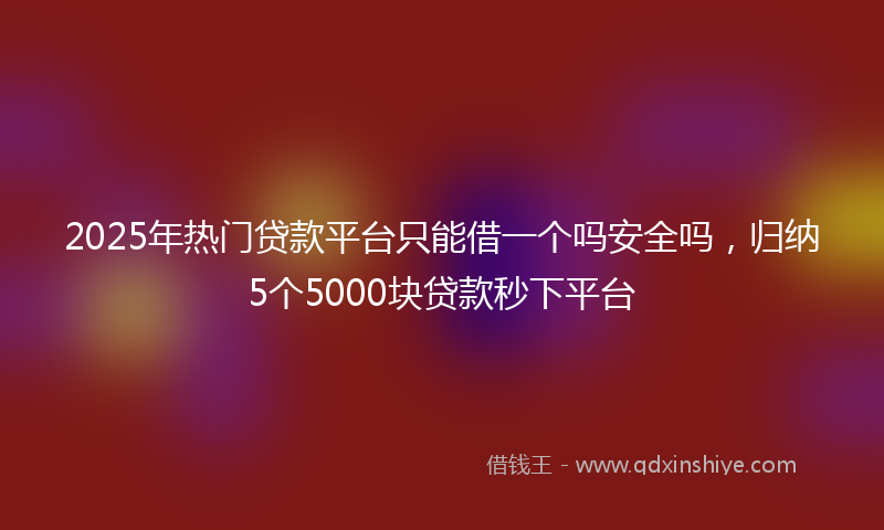 2025年热门贷款平台只能借一个吗安全吗，归纳5个5000块贷款秒下平台