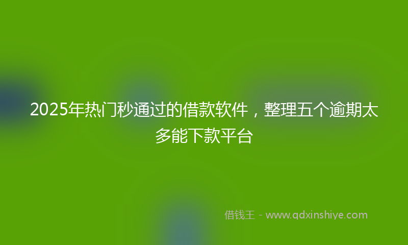 2025年热门秒通过的借款软件，整理五个逾期太多能下款平台