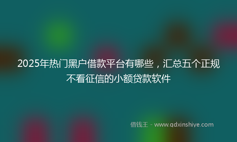 2025年热门黑户借款平台有哪些，汇总五个正规不看征信的小额贷款软件
