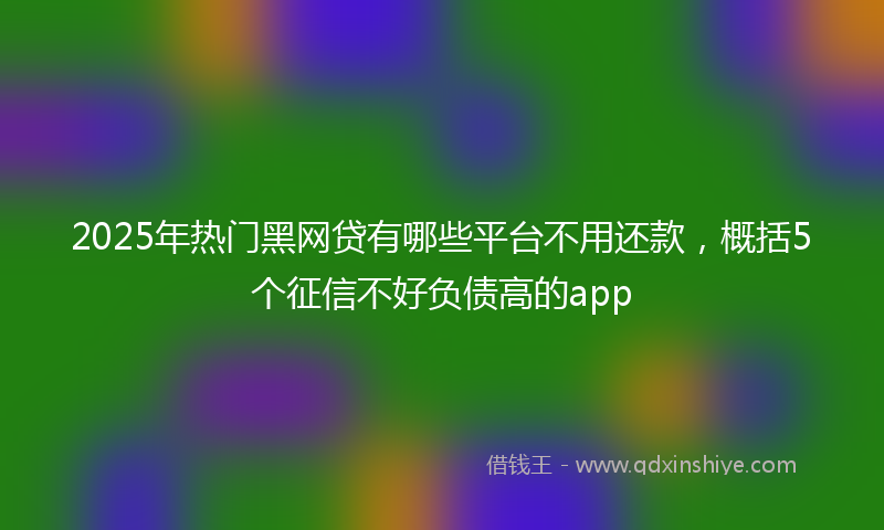 2025年热门黑网贷有哪些平台不用还款，概括5个征信不好负债高的app