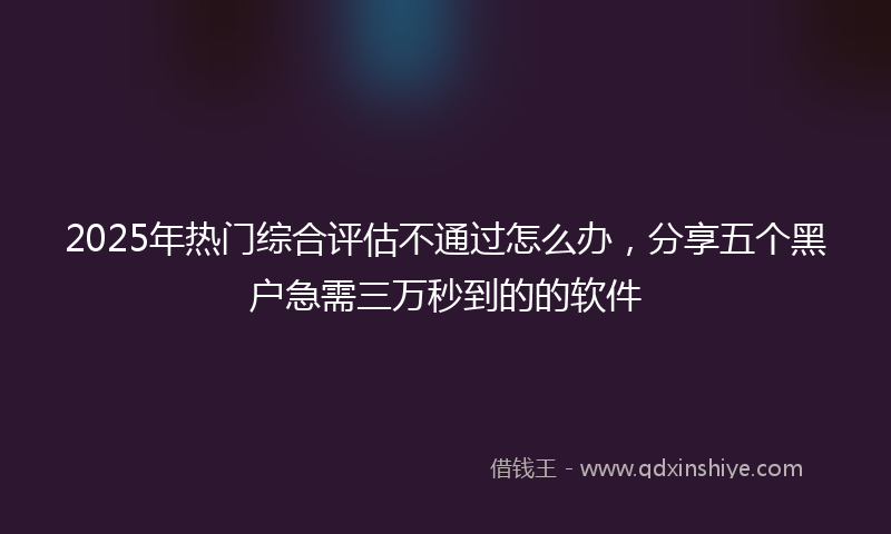 2025年热门综合评估不通过怎么办，分享五个黑户急需三万秒到的的软件