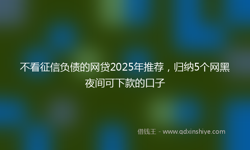 不看征信负债的网贷2025年推荐，归纳5个网黑夜间可下款的口子