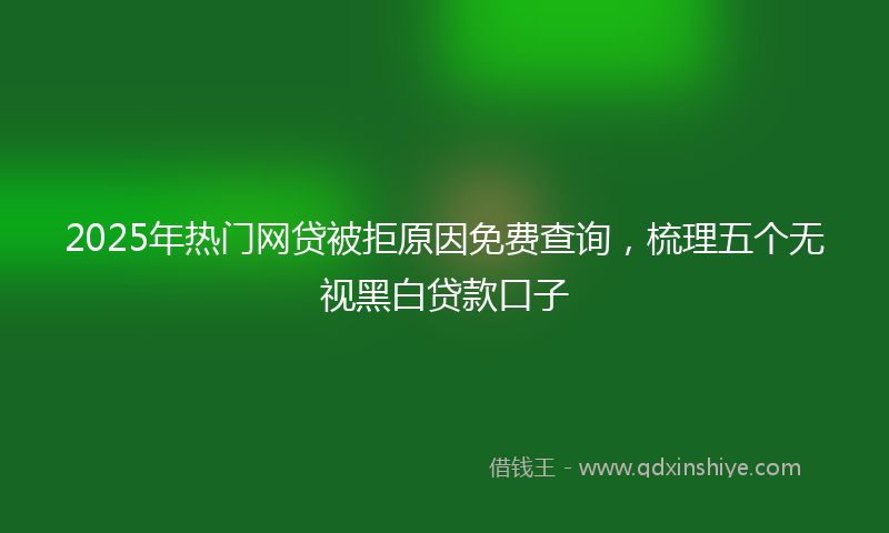 2025年热门网贷被拒原因免费查询，梳理五个无视黑白贷款口子