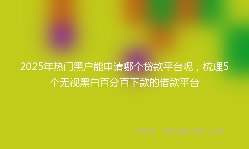 2025年热门黑户能申请哪个贷款平台呢，梳理5个无视黑白百分百下款的借款平台
