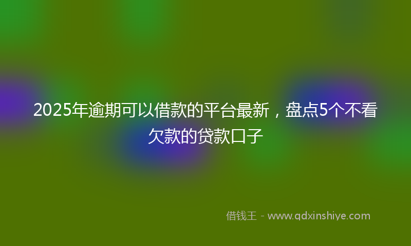 2025年逾期可以借款的平台最新，盘点5个不看欠款的贷款口子