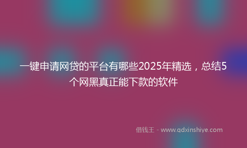 一键申请网贷的平台有哪些2025年精选，总结5个网黑真正能下款的软件