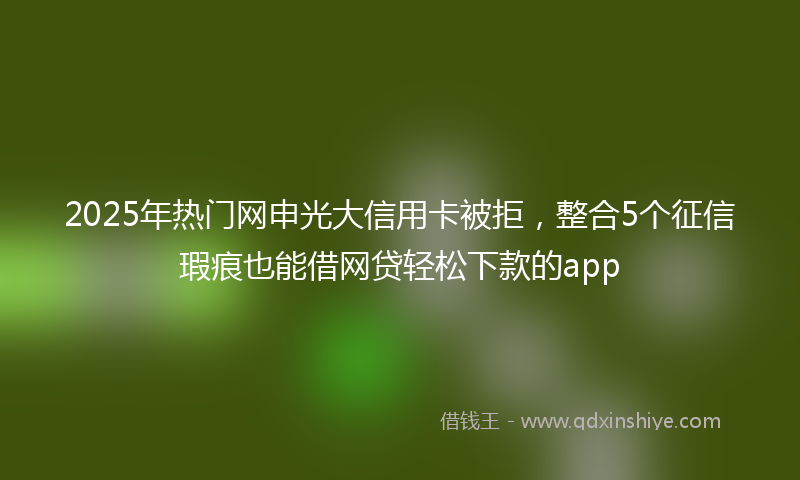 2025年热门网申光大信用卡被拒，整合5个征信瑕疵也能借网贷轻松下款的app