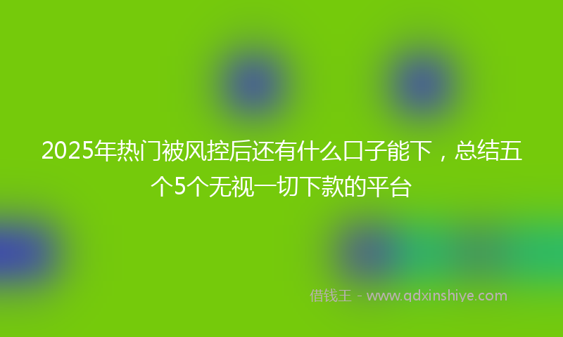 2025年热门被风控后还有什么口子能下，总结五个5个无视一切下款的平台