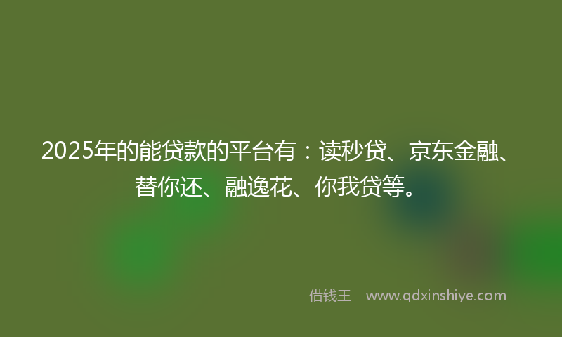 2025年的能贷款的平台有：读秒贷、京东金融、替你还、融逸花、你我贷等。