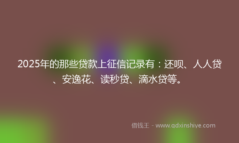 2025年的那些贷款上征信记录有：还呗、人人贷、安逸花、读秒贷、滴水贷等。