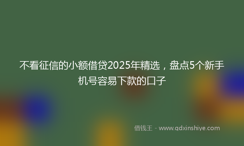 不看征信的小额借贷2025年精选，盘点5个新手机号容易下款的口子