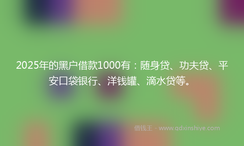2025年的黑户借款1000有：随身贷、功夫贷、平安口袋银行、洋钱罐、滴水贷等。