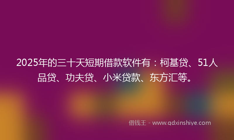 2025年的三十天短期借款软件有：柯基贷、51人品贷、功夫贷、小米贷款、东方汇等。