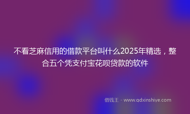 不看芝麻信用的借款平台叫什么2025年精选，整合五个凭支付宝花呗贷款的软件