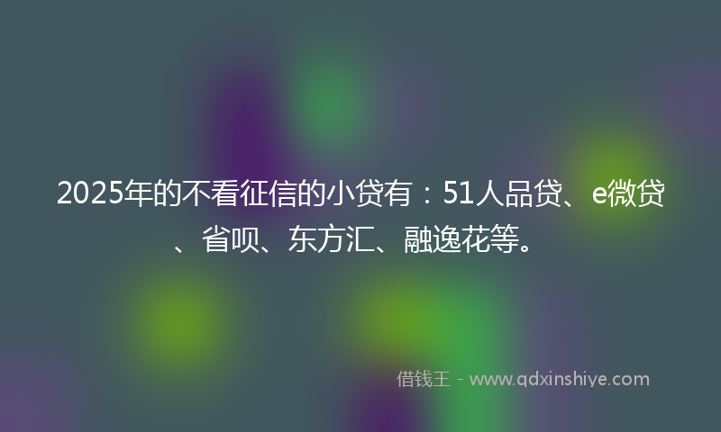2025年的不看征信的小贷有：51人品贷、e微贷、省呗、东方汇、融逸花等。