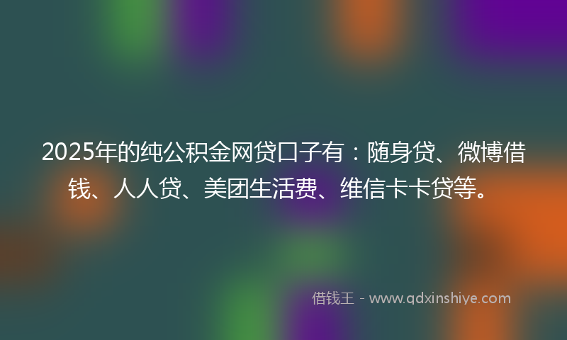 2025年的纯公积金网贷口子有：随身贷、微博借钱、人人贷、美团生活费、维信卡卡贷等。
