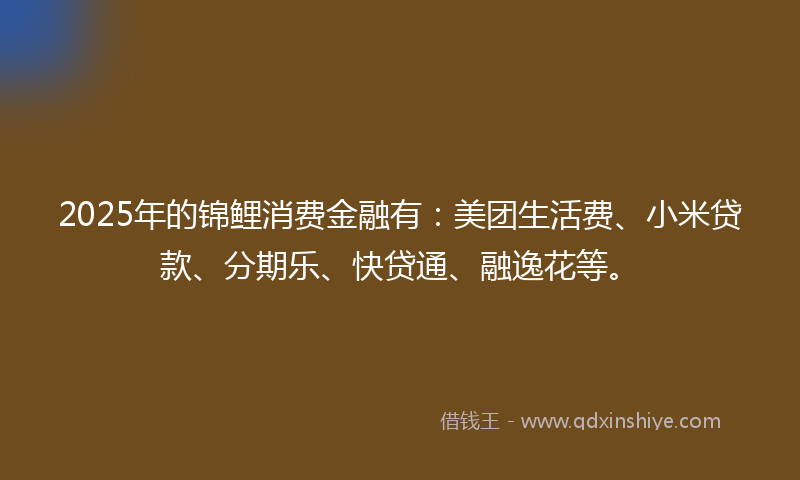 2025年的锦鲤消费金融有：美团生活费、小米贷款、分期乐、快贷通、融逸花等。