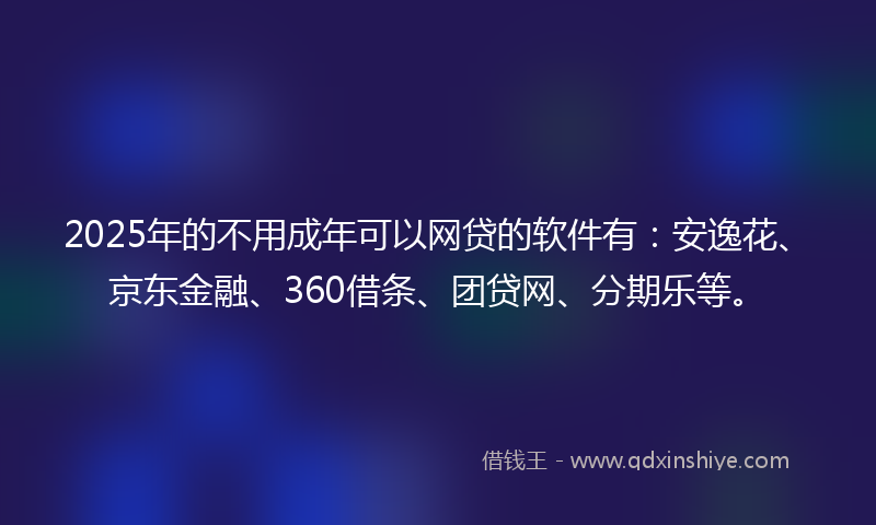 2025年的不用成年可以网贷的软件有：安逸花、京东金融、360借条、团贷网、分期乐等。