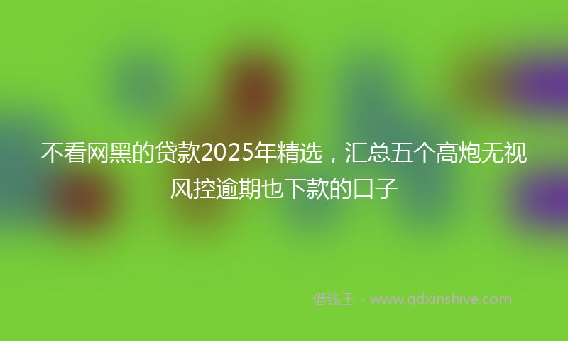 不看网黑的贷款2025年精选，汇总五个高炮无视风控逾期也下款的口子
