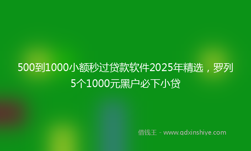 500到1000小额秒过贷款软件2025年精选，罗列5个1000元黑户必下小贷