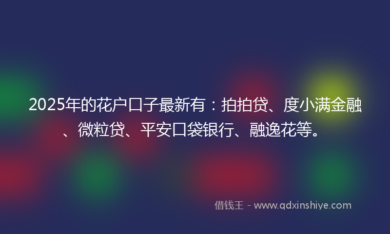 2025年的花户口子最新有：拍拍贷、度小满金融、微粒贷、平安口袋银行、融逸花等。