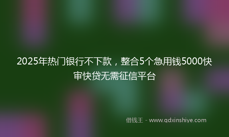 2025年热门银行不下款，整合5个急用钱5000快审快贷无需征信平台
