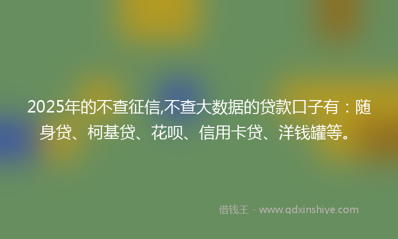 2025年的不查征信,不查大数据的贷款口子有：随身贷、柯基贷、花呗、信用卡贷、洋钱罐等。