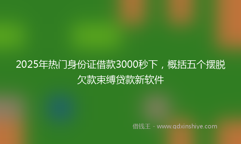 2025年热门身份证借款3000秒下，概括五个摆脱欠款束缚贷款新软件