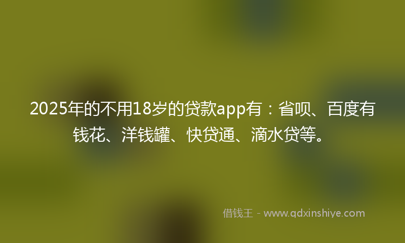 2025年的不用18岁的贷款app有：省呗、百度有钱花、洋钱罐、快贷通、滴水贷等。