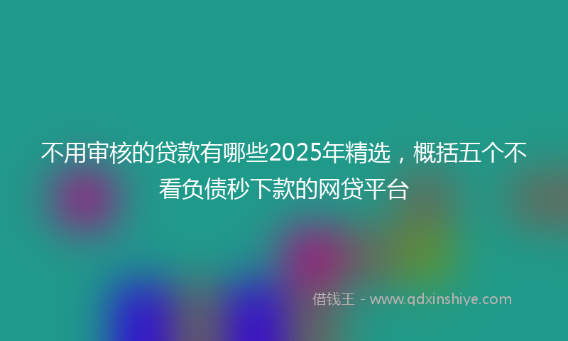 不用审核的贷款有哪些2025年精选，概括五个不看负债秒下款的网贷平台