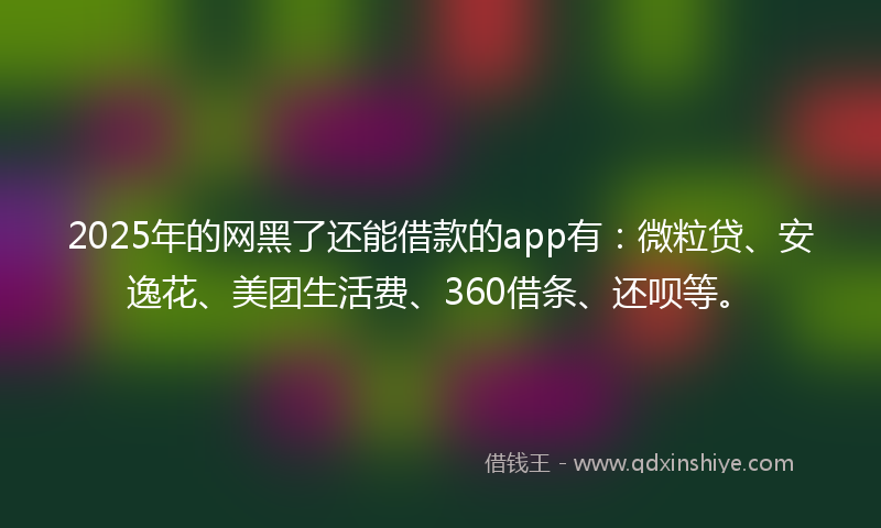 2025年的网黑了还能借款的app有：微粒贷、安逸花、美团生活费、360借条、还呗等。