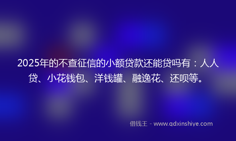 2025年的不查征信的小额贷款还能贷吗有：人人贷、小花钱包、洋钱罐、融逸花、还呗等。
