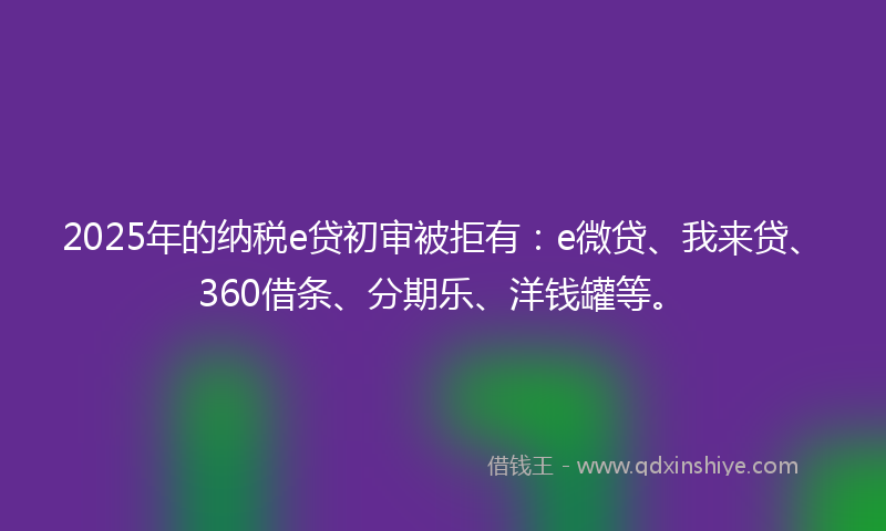 2025年的纳税e贷初审被拒有：e微贷、我来贷、360借条、分期乐、洋钱罐等。