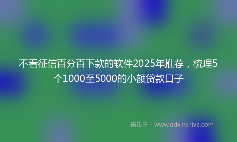 不看征信百分百下款的软件2025年推荐，梳理5个1000至5000的小额贷款口子