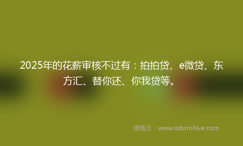 2025年的花薪审核不过有：拍拍贷、e微贷、东方汇、替你还、你我贷等。