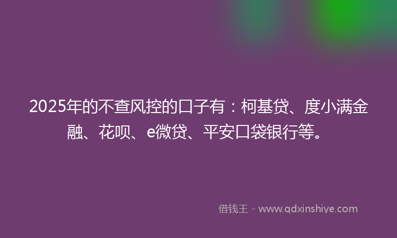 2025年的不查风控的口子有：柯基贷、度小满金融、花呗、e微贷、平安口袋银行等。