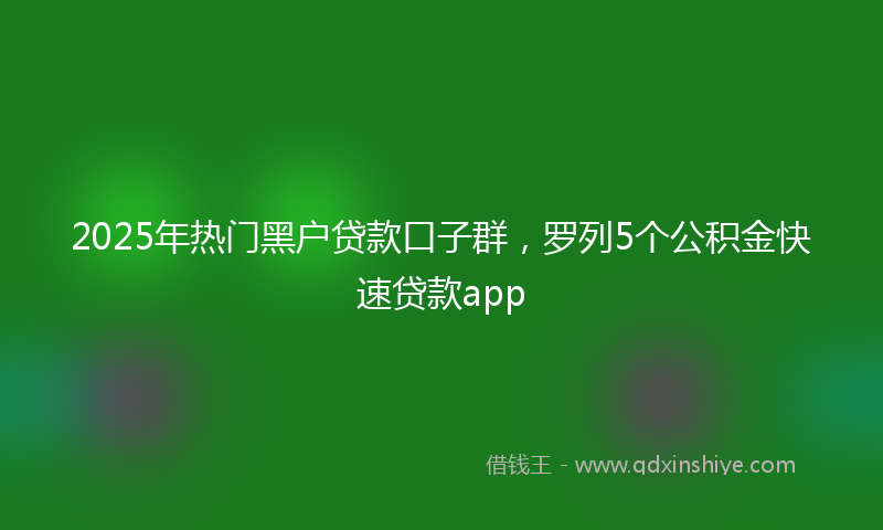 2025年热门黑户贷款口子群，罗列5个公积金快速贷款app