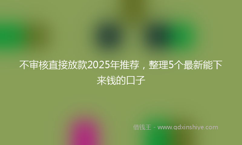 不审核直接放款2025年推荐，整理5个最新能下来钱的口子
