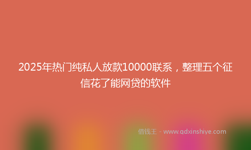 2025年热门纯私人放款10000联系，整理五个征信花了能网贷的软件
