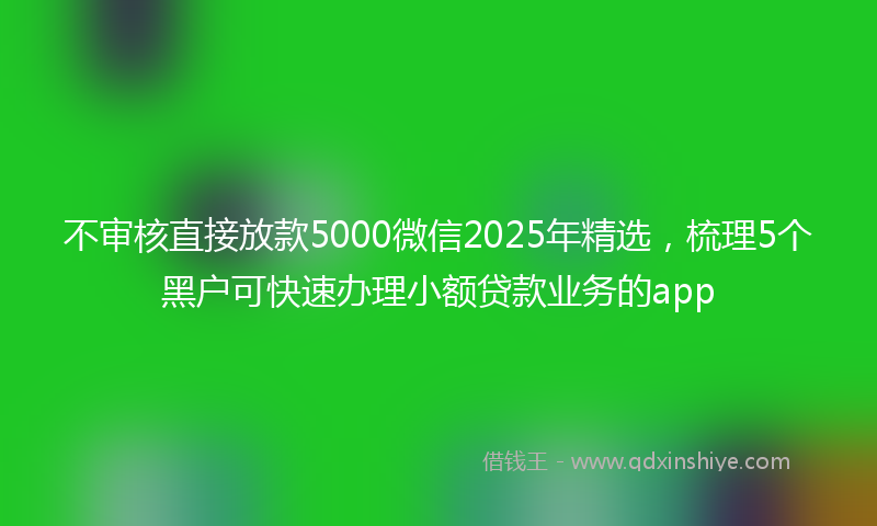 不审核直接放款5000微信2025年精选，梳理5个黑户可快速办理小额贷款业务的app