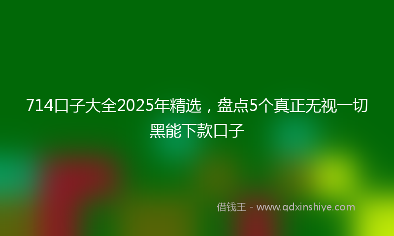714口子大全2025年精选,盘点5个真正无视一切黑能下款口子
